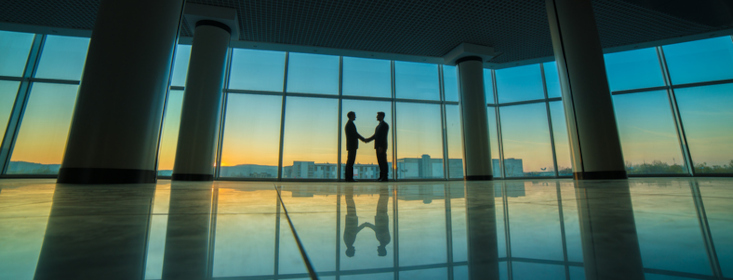 Two Men Shaking Hands, Wide Angle